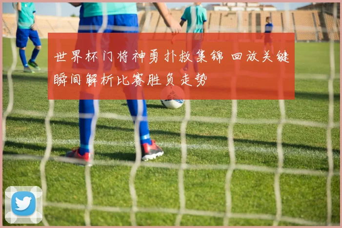 世界杯门将神勇扑救集锦 回放关键瞬间解析比赛胜负走势