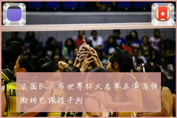 法国队公布世界杯大名单本泽马领衔姆巴佩格子列